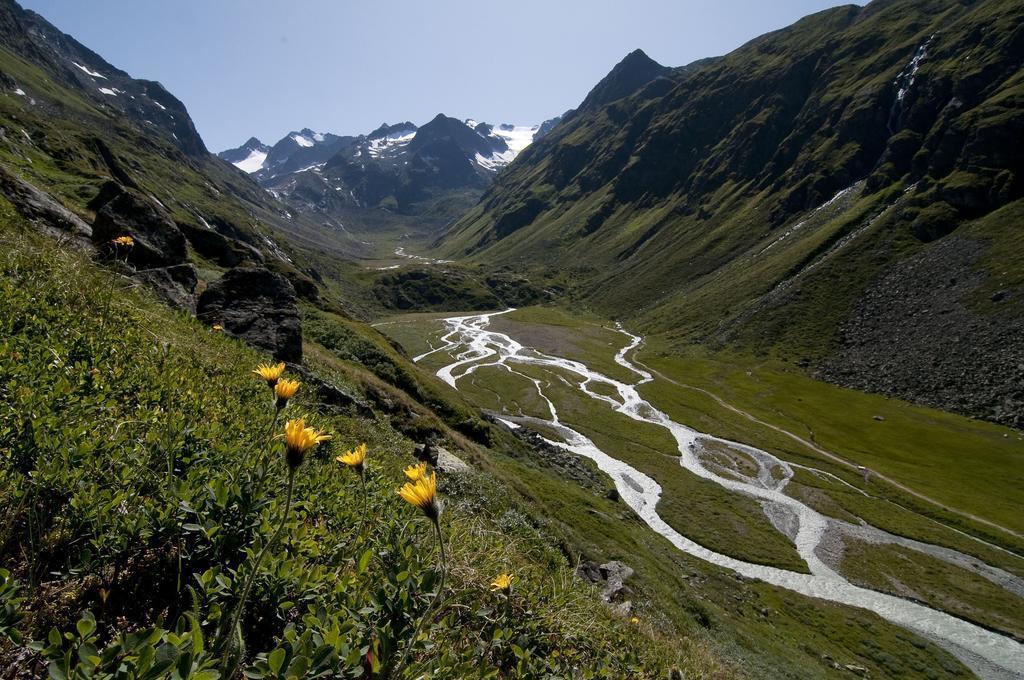 Gaestehaus Danler Neustift im Stubaital Exteriör bild